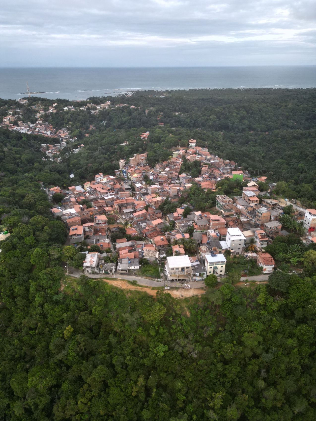 Casario cercado de mata com o mar atrás
