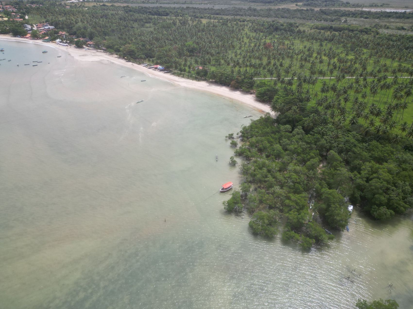 Curva da praia acompanhando o mangue e o coqueiral
