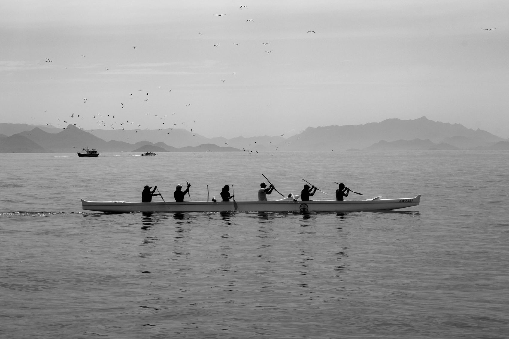 Remada com Serra do Mar e aves ao fundo